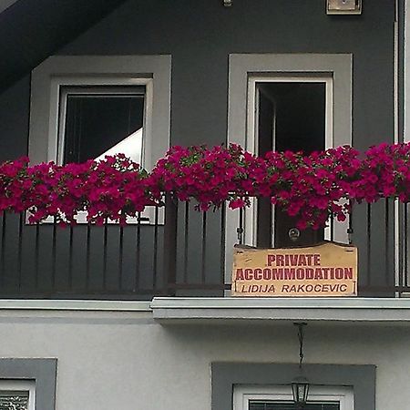 Private Accommodation Lidija Rakocevic Kolašin Extérieur photo