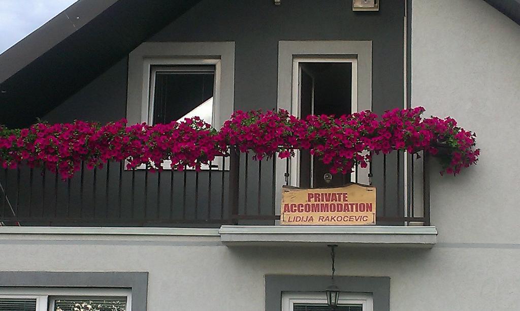 Private Accommodation Lidija Rakocevic Kolašin Extérieur photo